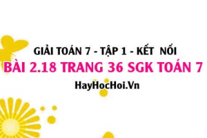 Giải bài 2.18 trang 36 Toán 7 Tập 1 SGK Kết nối tri thức